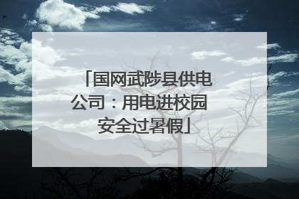 国网武陟县供电公司：用电进校园  安全过暑假