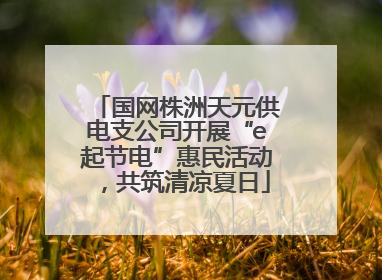国网株洲天元供电支公司开展“e起节电”惠民活动，共筑清凉夏日