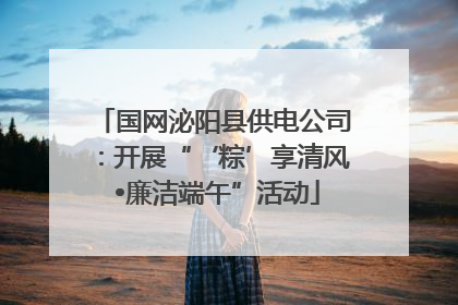 国网泌阳县供电公司：开展“‘粽’享清风 •廉洁端午”活动