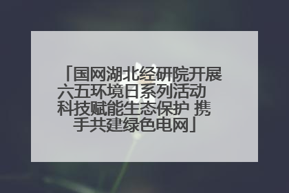国网湖北经研院开展六五环境日系列活动 科技赋能生态保护 携手共建绿色电网