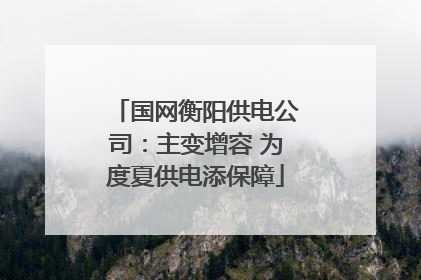 国网衡阳供电公司：主变增容 为度夏供电添保障