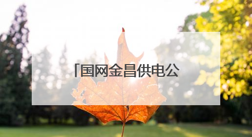 国网金昌供电公司：从积淀中破茧 蝶变社会责任实践新路径