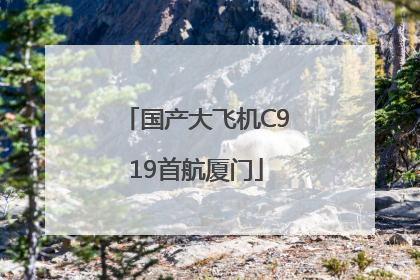 国产大飞机C919首航厦门