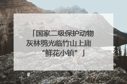 国家二级保护动物灰林鸮光临竹山上庸“鲜花小镇”