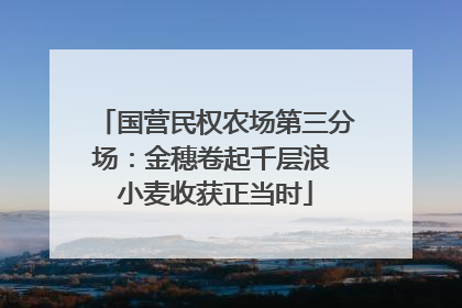 国营民权农场第三分场：金穗卷起千层浪 小麦收获正当时