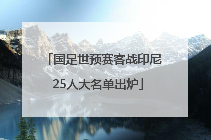 国足世预赛客战印尼25人大名单出炉