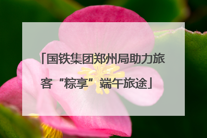 国铁集团郑州局助力旅客“粽享”端午旅途