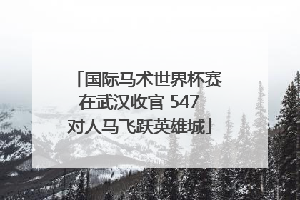 国际马术世界杯赛在武汉收官 547对人马飞跃英雄城