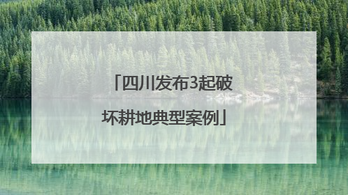 四川发布3起破坏耕地典型案例