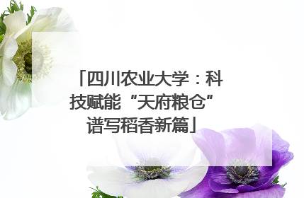 四川农业大学：科技赋能“天府粮仓”谱写稻香新篇