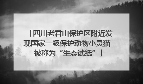 四川老君山保护区附近发现国家一级保护动物小灵猫 被称为“生态试纸”