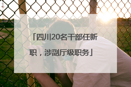 四川20名干部任新职，涉副厅级职务