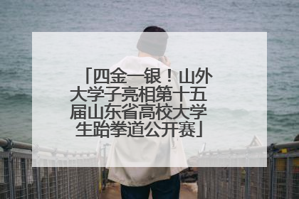 四金一银！山外大学子亮相第十五届山东省高校大学生跆拳道公开赛