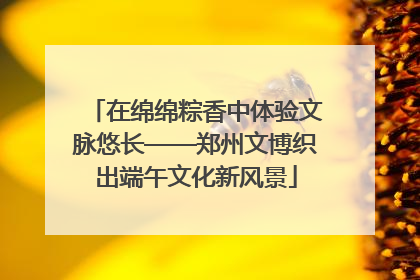 在绵绵粽香中体验文脉悠长——郑州文博织出端午文化新风景