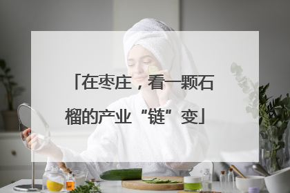 在枣庄，看一颗石榴的产业“链”变
