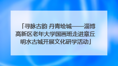 寻脉古韵 丹青绘城——淄博高新区老年大学国画班走进章丘明水古城开展文化研学活动