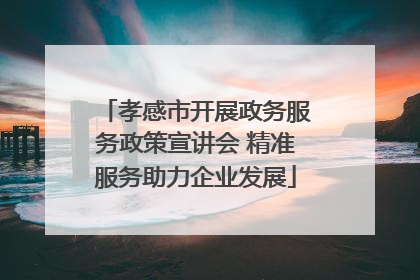 孝感市开展政务服务政策宣讲会 精准服务助力企业发展