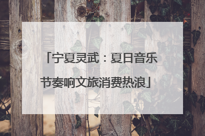 宁夏灵武：夏日音乐节奏响文旅消费热浪