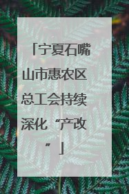 宁夏石嘴山市惠农区总工会持续深化“产改”