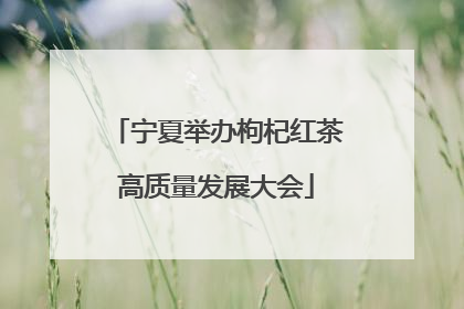 宁夏举办枸杞红茶高质量发展大会