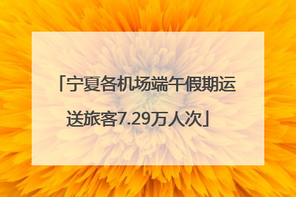 宁夏各机场端午假期运送旅客7.29万人次
