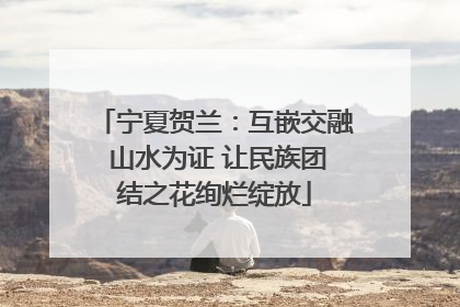 宁夏贺兰：互嵌交融 山水为证 让民族团结之花绚烂绽放