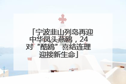 宁波韭山列岛再迎中华凤头燕鸥，24对“酷鸥”喜结连理迎接新生命