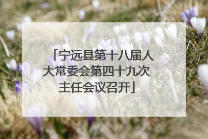 宁远县第十八届人大常委会第四十九次主任会议召开