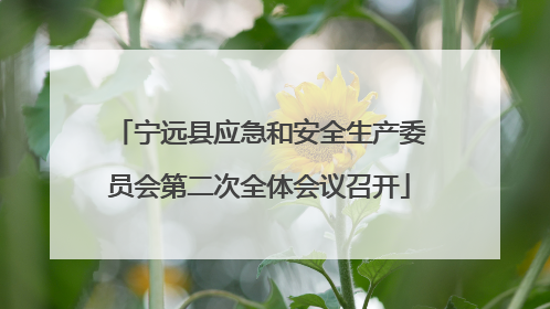 宁远县应急和安全生产委员会第二次全体会议召开