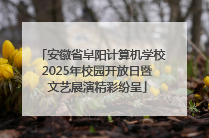 安徽省阜阳计算机学校2025年校园开放日暨文艺展演精彩纷呈