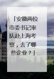 安徽两位市委书记率队赴上海考察，去了哪些企业？