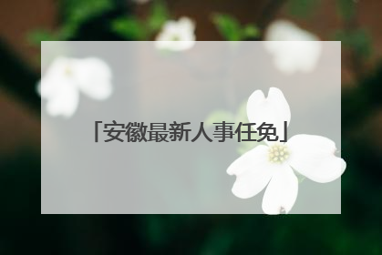 安徽最新人事任免