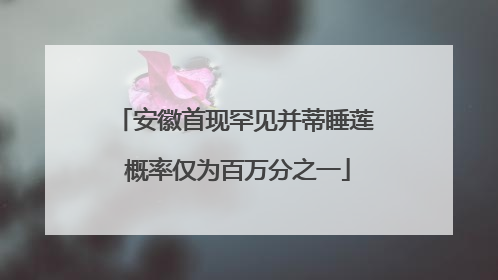 安徽首现罕见并蒂睡莲 概率仅为百万分之一