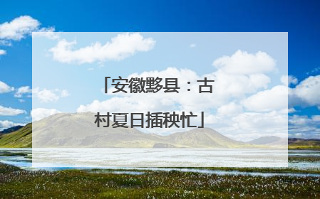 安徽黟县：古村夏日插秧忙