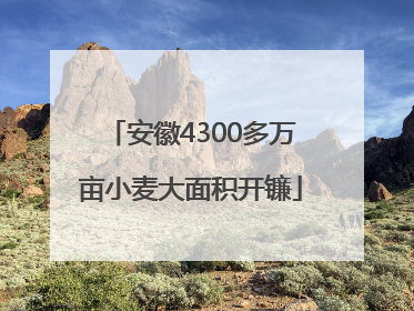 安徽4300多万亩小麦大面积开镰