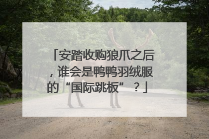安踏收购狼爪之后，谁会是鸭鸭羽绒服的“国际跳板”？