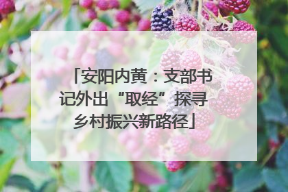 安阳内黄：支部书记外出“取经”探寻乡村振兴新路径