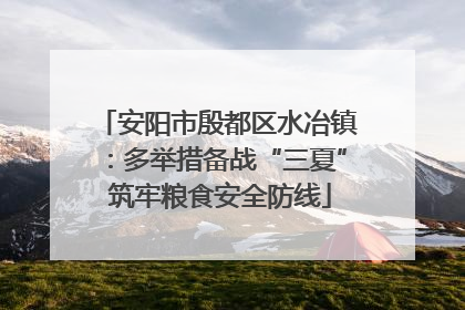 安阳市殷都区水冶镇：多举措备战“三夏” 筑牢粮食安全防线