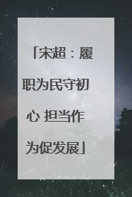 宋超：履职为民守初心 担当作为促发展