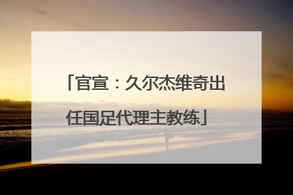 官宣：久尔杰维奇出任国足代理主教练