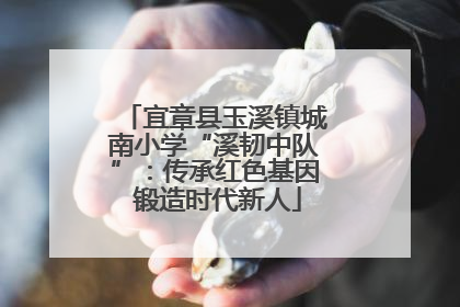 宜章县玉溪镇城南小学“溪韧中队”：传承红色基因 锻造时代新人