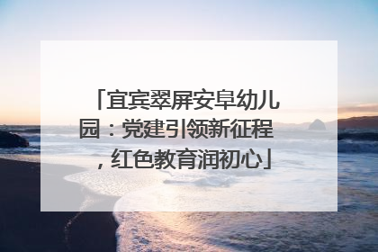 宜宾翠屏安阜幼儿园：党建引领新征程，红色教育润初心