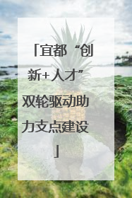 宜都“创新+人才”双轮驱动助力支点建设