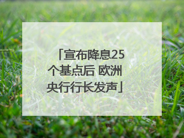 宣布降息25个基点后 欧洲央行行长发声