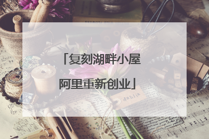复刻湖畔小屋 阿里重新创业