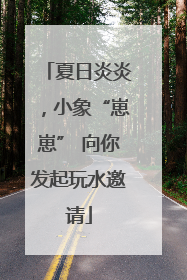 夏日炎炎，小象“崽崽” 向你发起玩水邀请