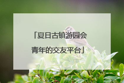 夏日古镇游园会 青年的交友平台