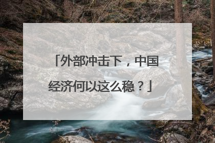 外部冲击下，中国经济何以这么稳？