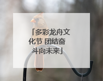多彩龙舟文化节 团结奋斗向未来