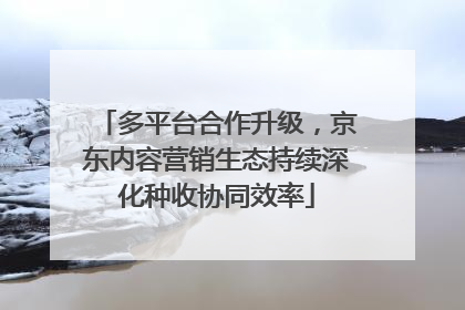 多平台合作升级，京东内容营销生态持续深化种收协同效率